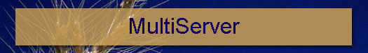 MultiServer